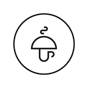 Mushroom Cups Logo